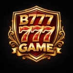 B777 game